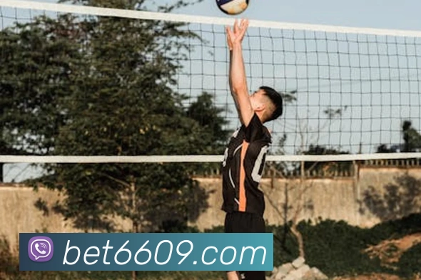 bet365com平台生态图